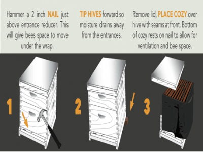 How Do Winter Bee Hive Wraps Work