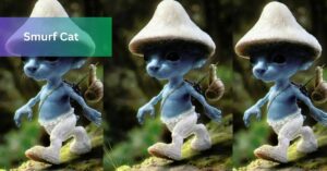 Smurf Cat